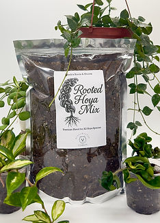 Rooted Hoya Mix – 1 Gallon premium hoya soil blend by Beth’s Roots & Shoots