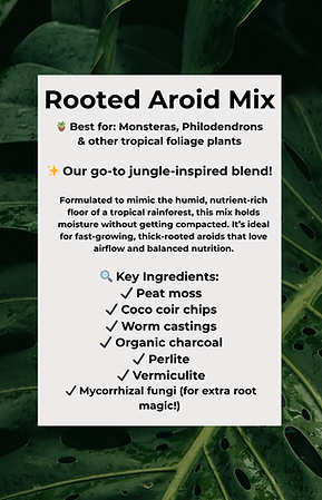 Rooted Aroid, Hoya, and Desert Mix ingredient lists by Beth’s Roots & Shoots