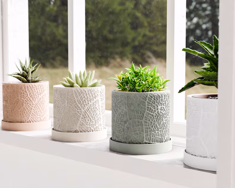 Thumbnail: The Leaf Textured Signature Planter