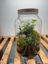 Built Terrarium 
