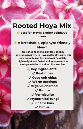Rooted Aroid, Hoya, and Desert Mix ingredient lists by Beth’s Roots & Shoots