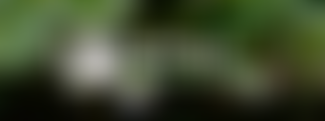 šæ Spring 2026 Newsletter