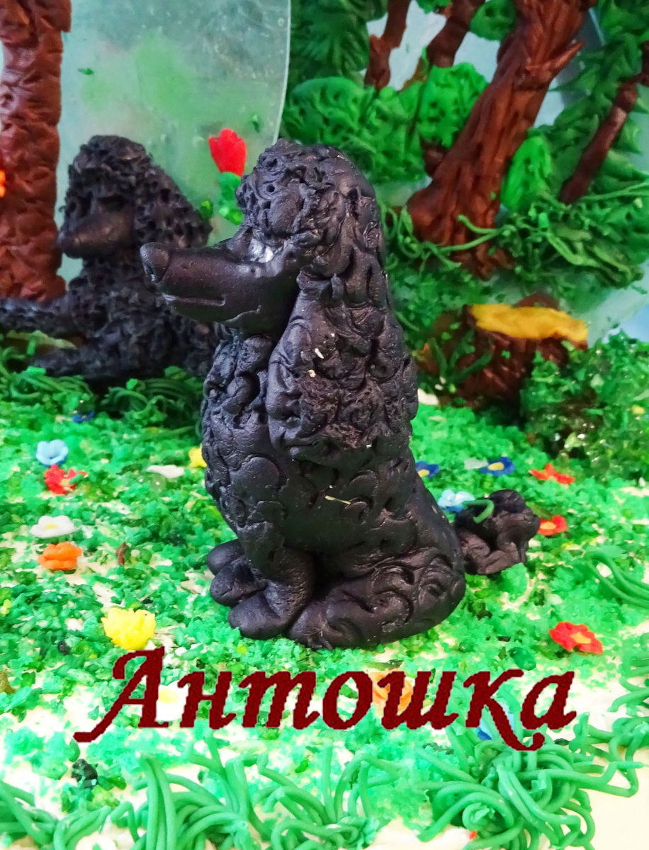 Пудели и попугайчики