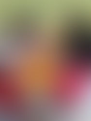 Celebrating the Colours of Togetherness: Holi at SICW