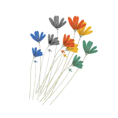 coquelicots.png
