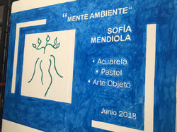Mente Ambiente
