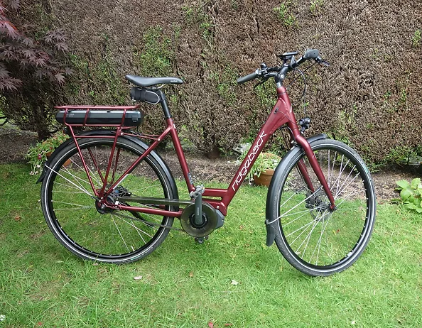 ridgeback electron di2 review