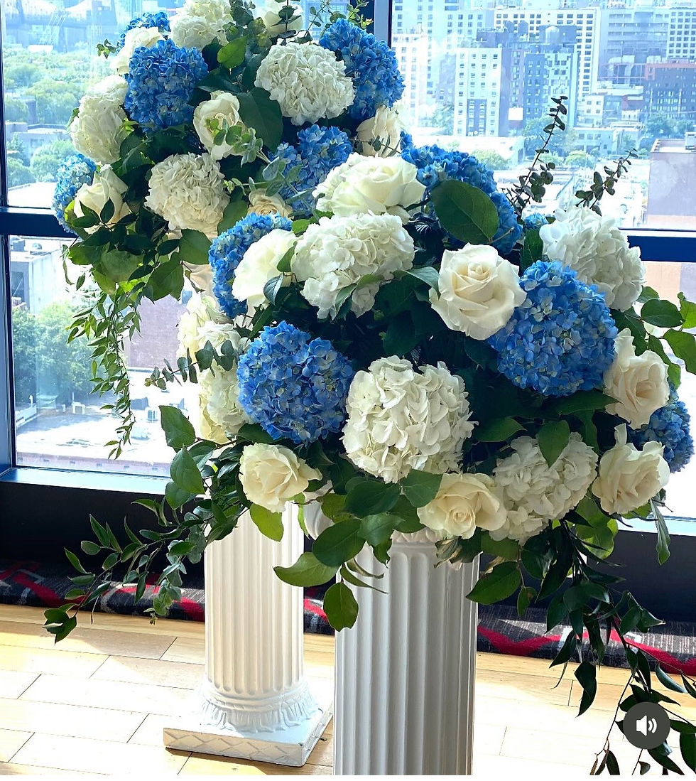 Blue & White Hydrangeas