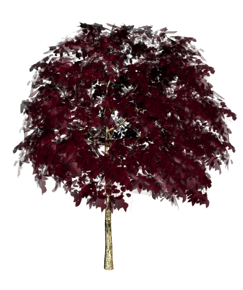 arbre 08 (9).png