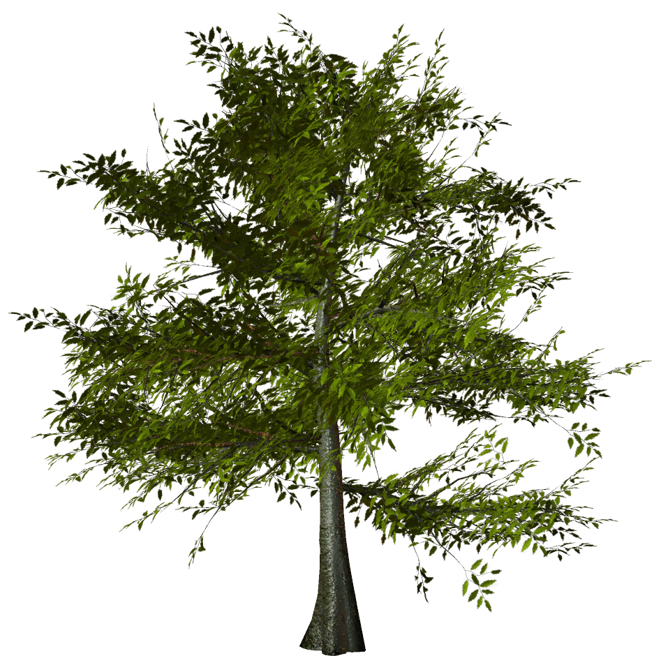 arbre 03 (23).png