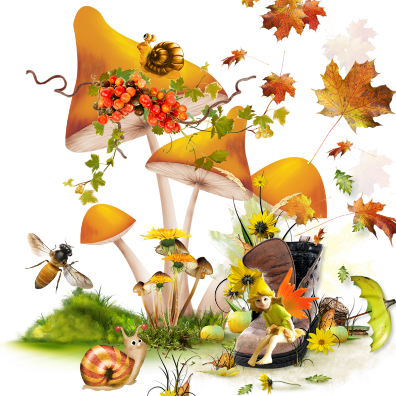 Champignon+(5).png
