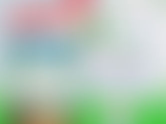 Prorrogadas inscrições para Mistérios dos Cerrados'