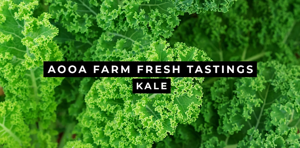 FREE: AOOA Farm Fresh Tastings: Kale