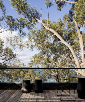 Treehouse_2-853x1024.jpeg