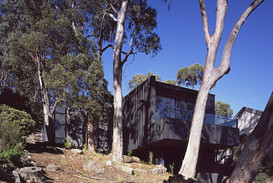 Treehouse_6-1024x686.jpeg
