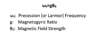 NMR Larmor or Precession Frequency