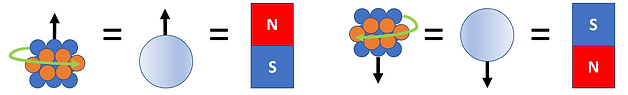 Schematic of Nucleus Spin in NMR