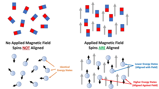 Behavior of Atomic Nucei in Magnetic Field