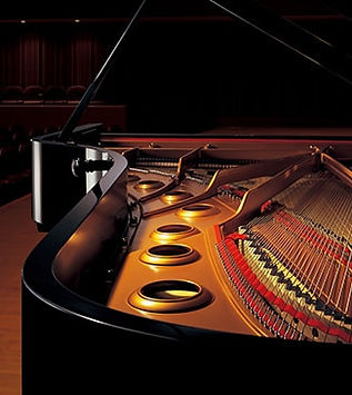 cocert piano