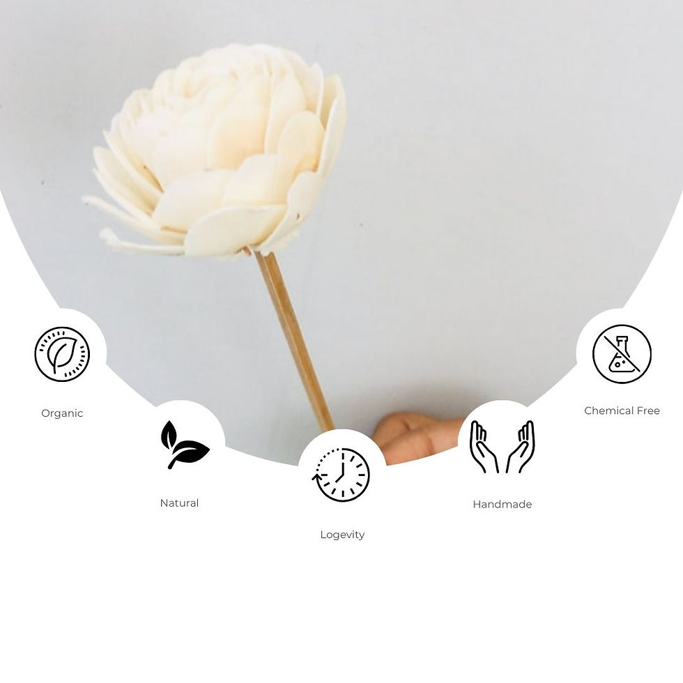 Thumbnail: Paeonia Sola Flower (5pcs)