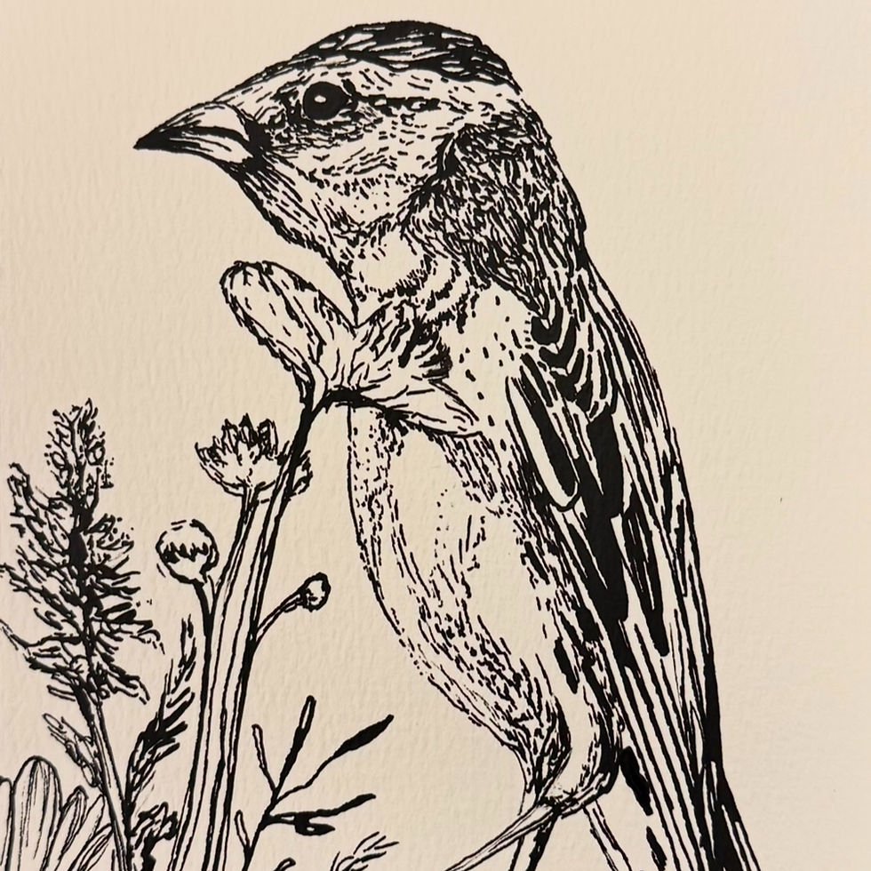 Thumbnail: Bobolink Meadow Tee
