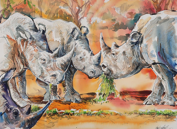 Zambia Rhinos | Watercolor