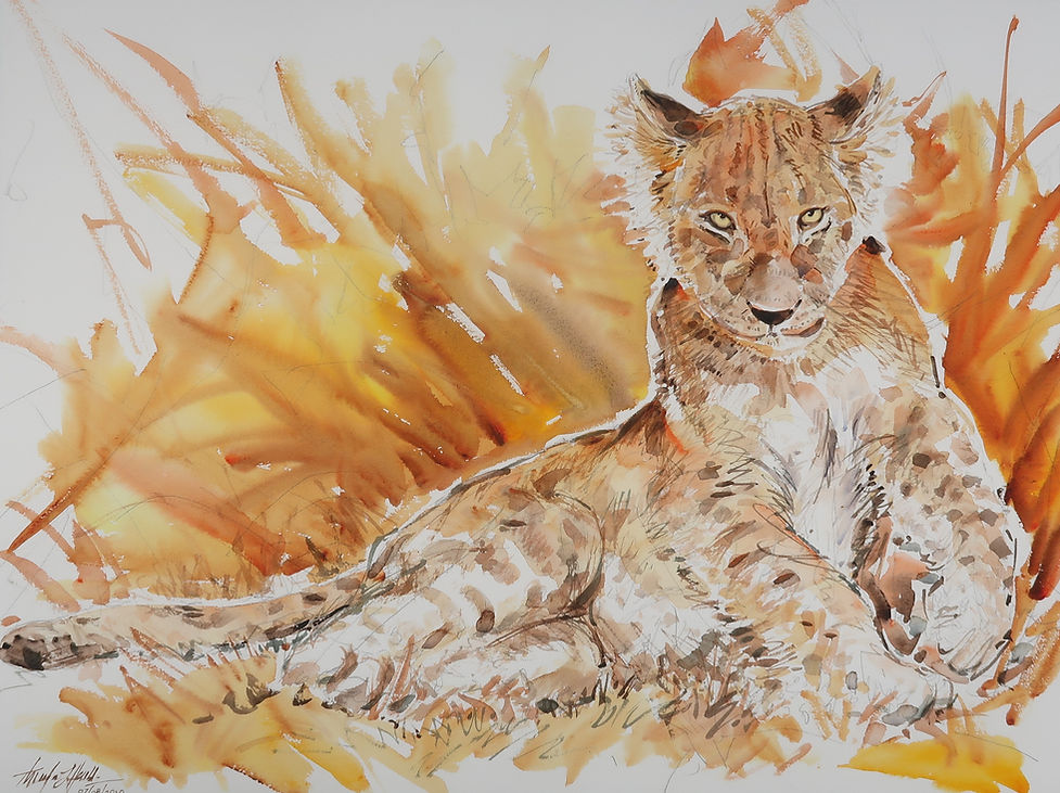 Serengeti Lion Cub | Watercolor