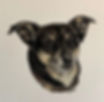 272902587_6998321400209225_968048816318974006_n
