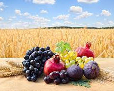 תפילה ביכורים ומה ביניהם | רחל ויינשטיין