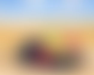 תפילה ביכורים ומה ביניהם | רחל ויינשטיין