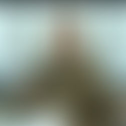 "שער הדמעות" | נורית אילון הירש