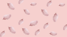 8.png