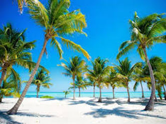 SERENADE PUNTA CANA.jpg