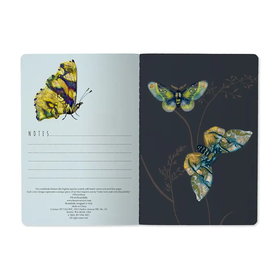 Thumbnail: Bruno Visconti Butterflies on White A5 Notebook