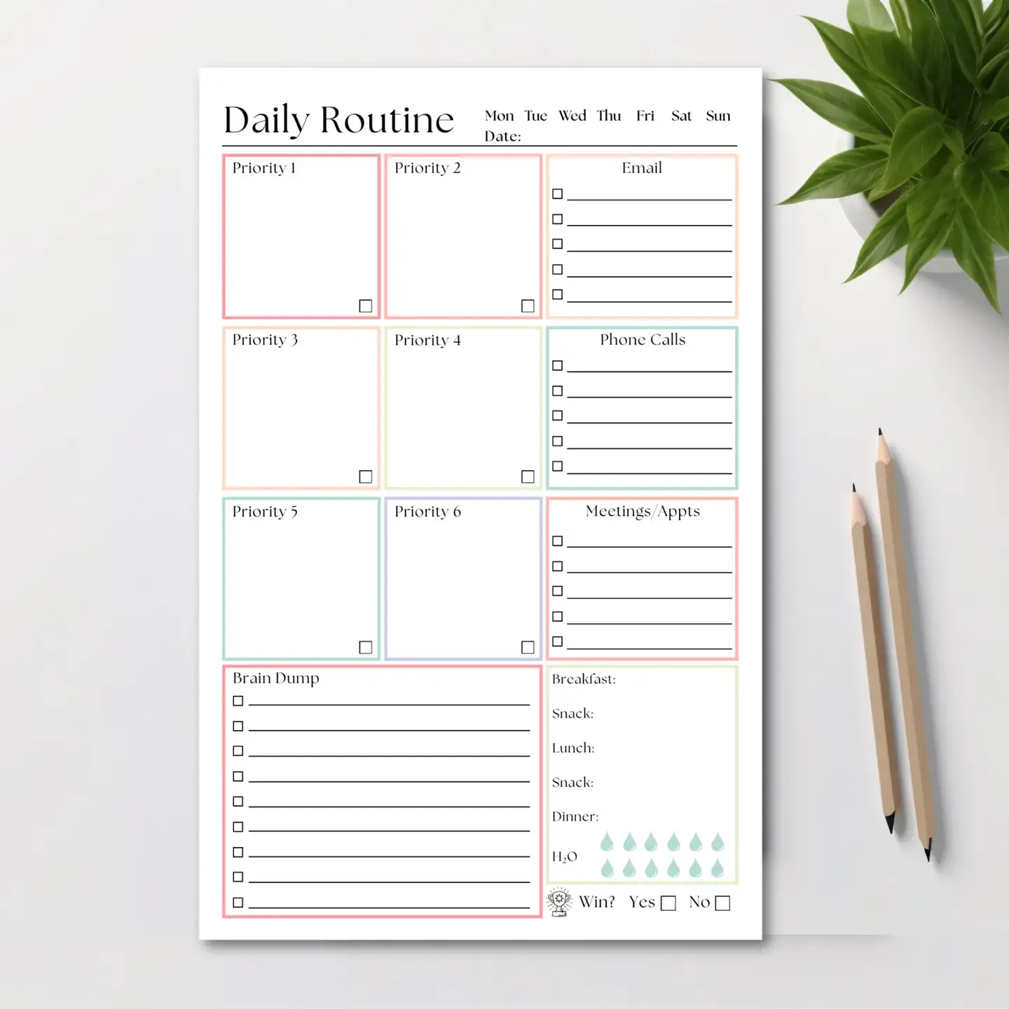 Eleventh & Taylor Daily Routine