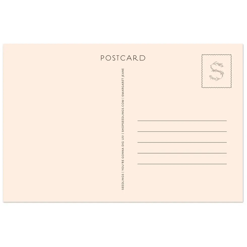 Thumbnail: Seedlings Cactus Postcard Set