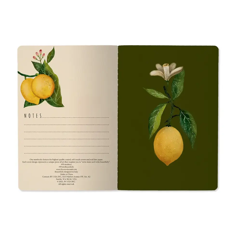 Thumbnail: Bruno Visconti Lemon A5 Notebook