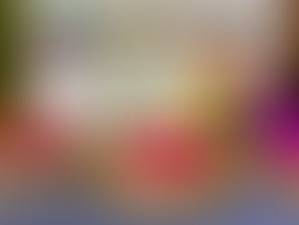 Conheça os Nossos Programas: