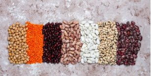 Alternativas à proteína de origem animal