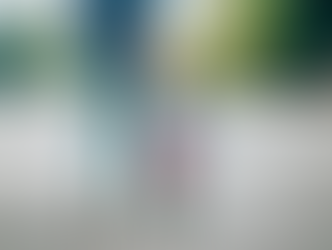 Parentalidade Positiva