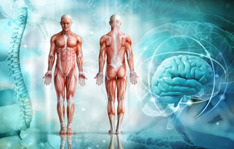 NEW INNOVATIONS IN PAIN RESOLUTION