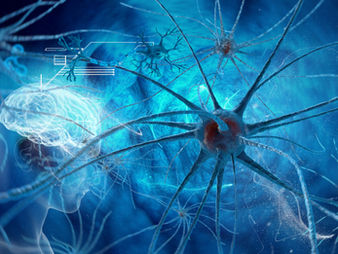 THE POWER OF MICRO-MOVEMENT