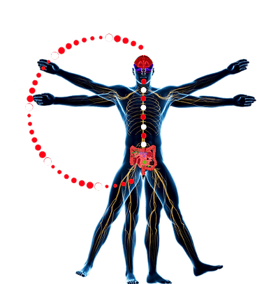 metodo dr garita.png