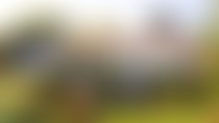 Inauguration officielle d’un Petit Coin de Paradis