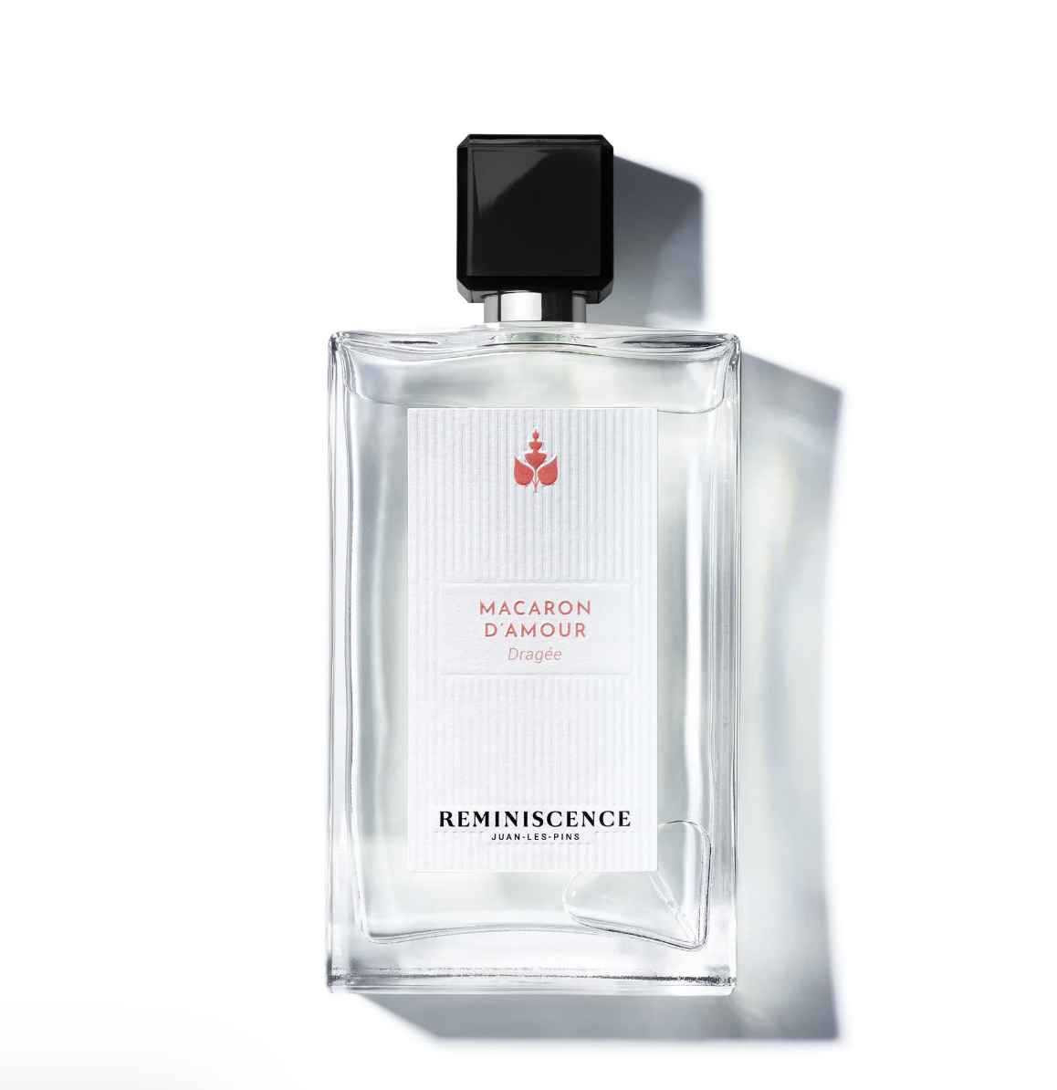 Dragée - Les Notes - Reminiscence 100 ml