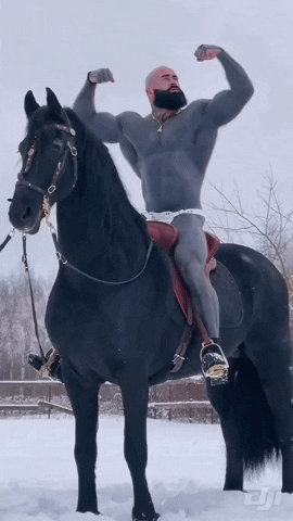 Horse Bodybuilder GIF by Database數據.gif