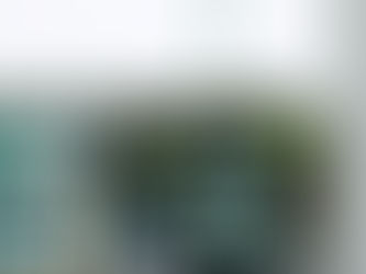 Bondi Awning Replacement