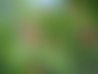 Благодарность маю