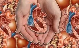 МНЕ НА МИНУТУ ПОКАЗАЛОСЬ,