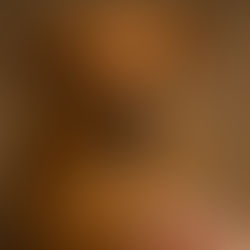 Why Mushrooms Are Becoming a Go-To Immune Support for Pets